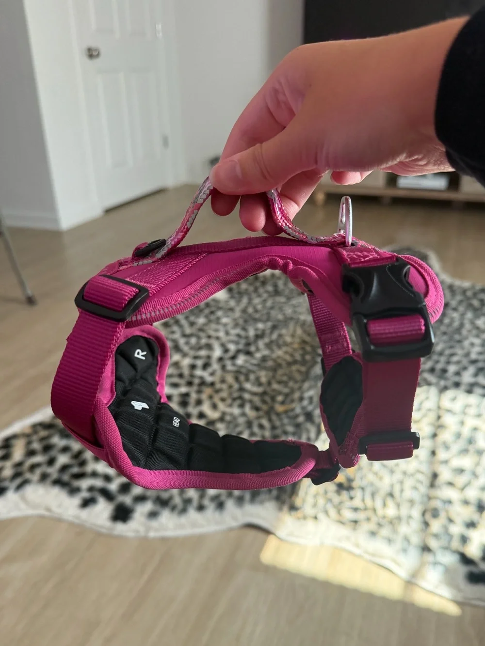 NEW Arcadia Trail Harness